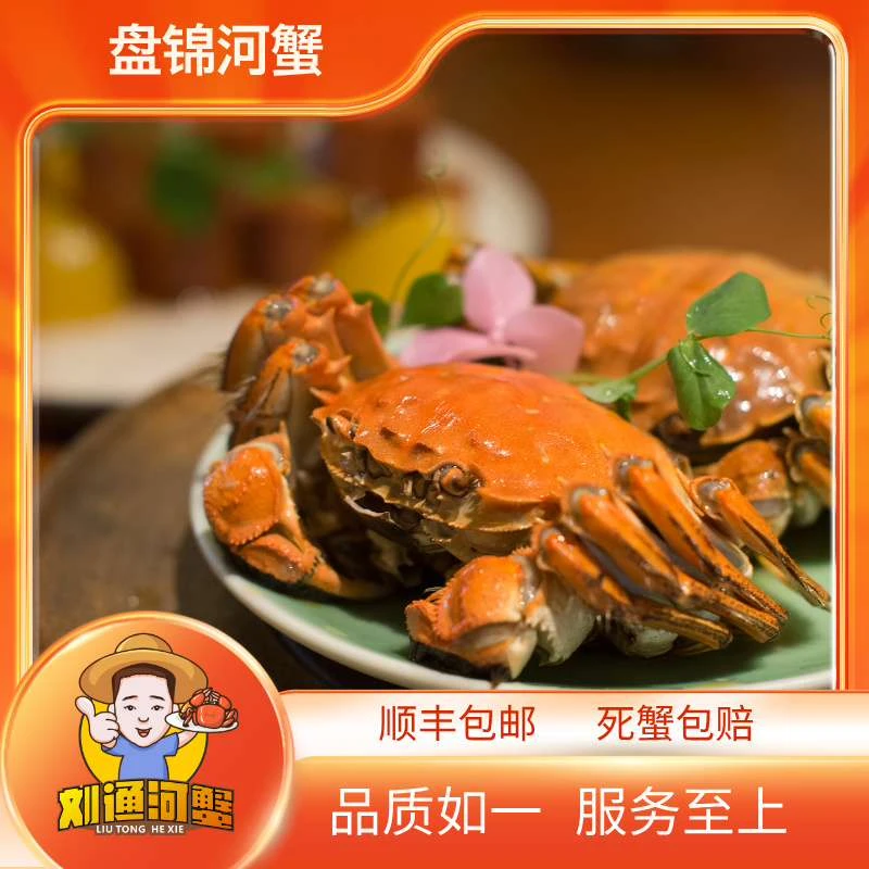 【活蟹】省外盘锦河蟹母蟹1.8-2.0两2斤/3斤/4斤/5斤装