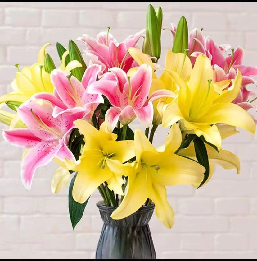 黄色粉色混搭香水百合花鲜花花束云南基地直发水养插花