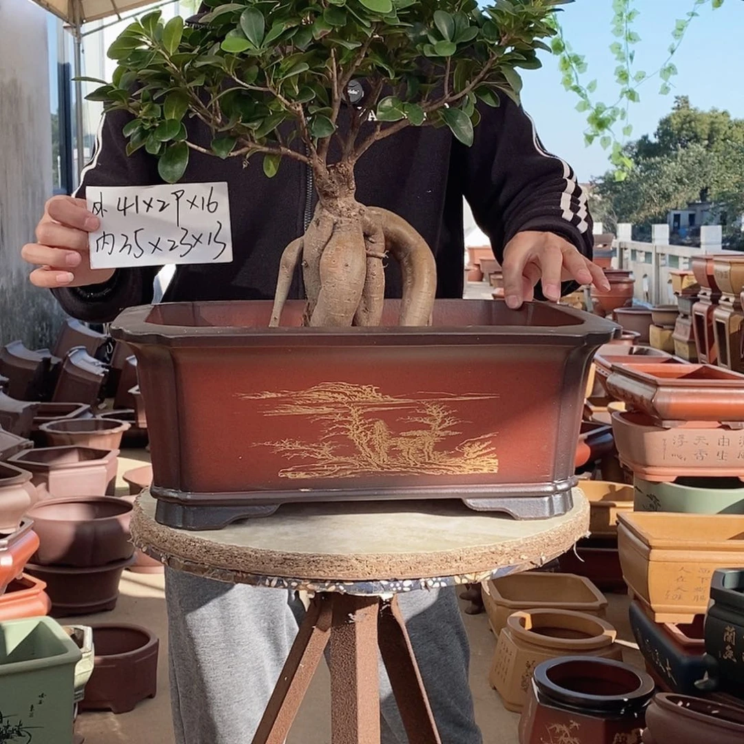 花盆紫砂紫砂花盆