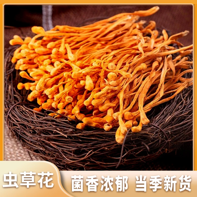 虫草花正品无硫干货食材优选煲汤炖汤菌菇材料包