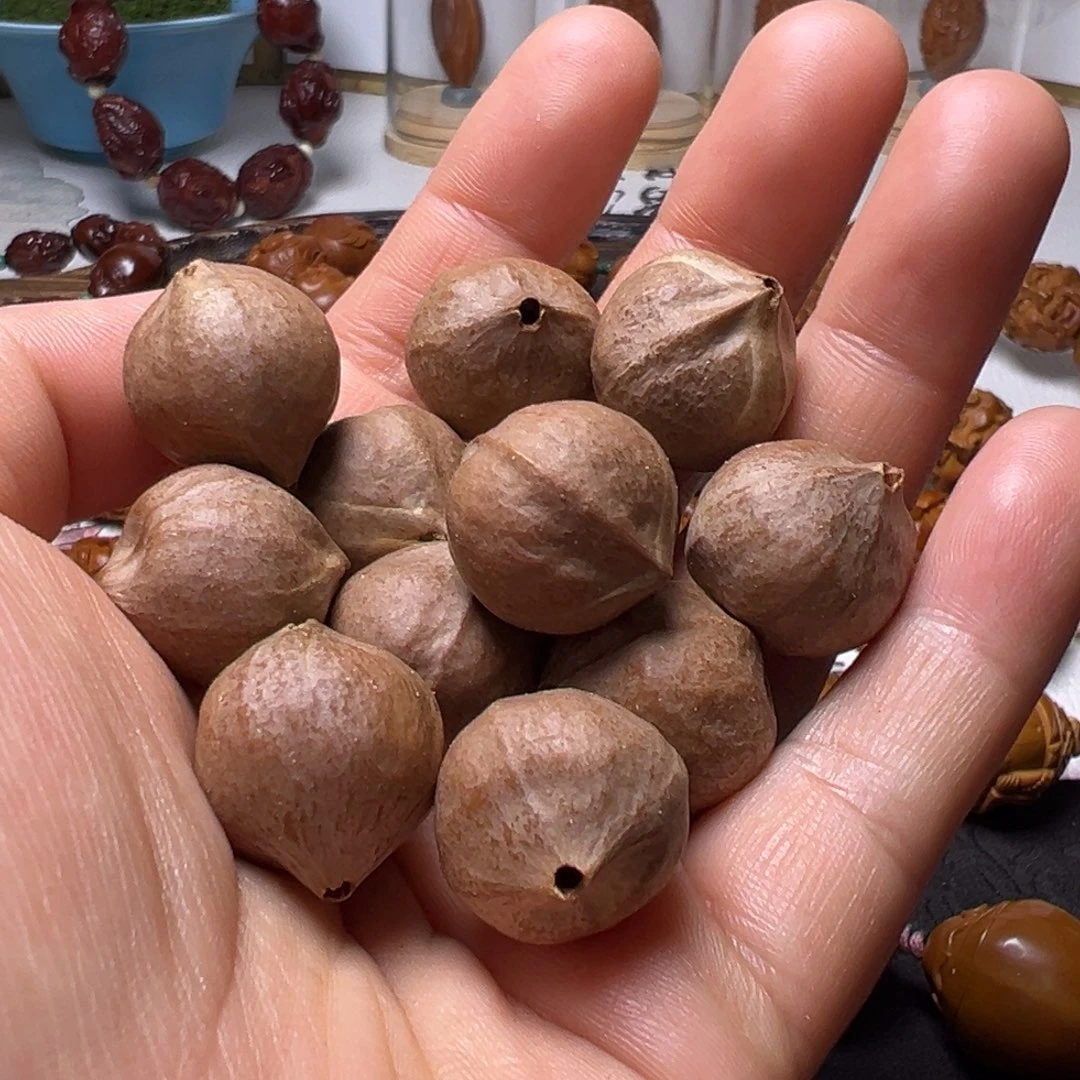 橄榄核手串/手链两花核12价