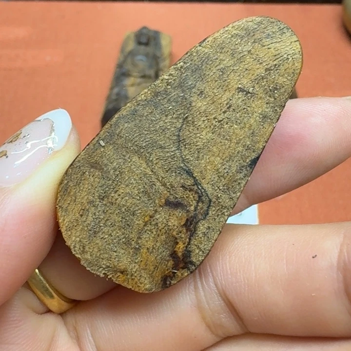 大叶紫檀（黑酸枝木类）