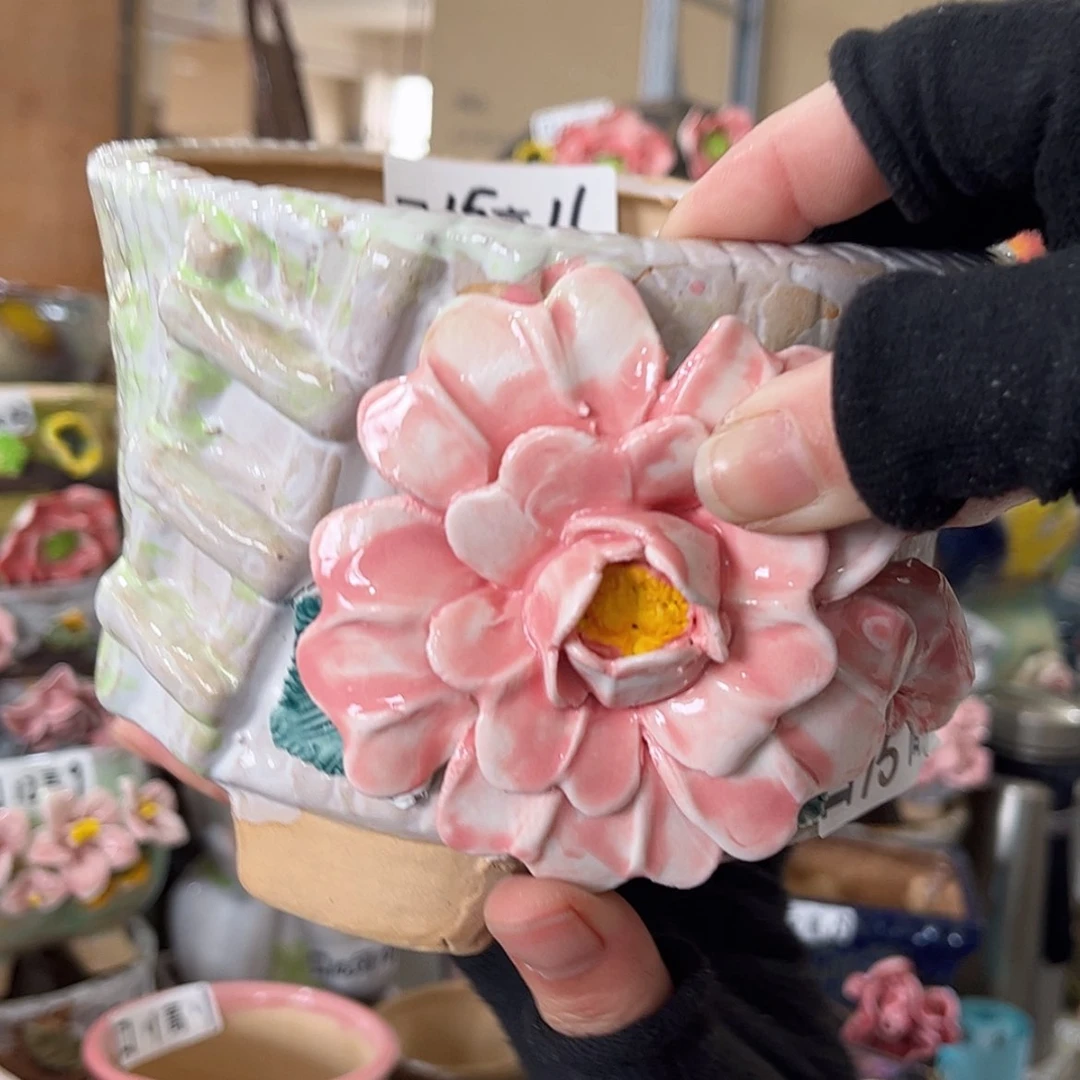 【闪购商品】红陶福利