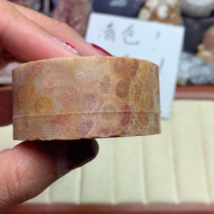 硅化珊瑚（珊瑚玉）颈饰未镶嵌