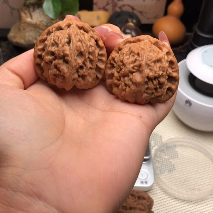 文玩核桃把件41尺寸白狮子