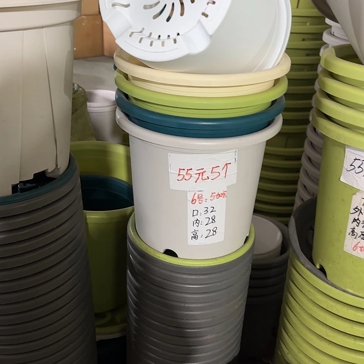 微瑕6#口径32无托果绿5个