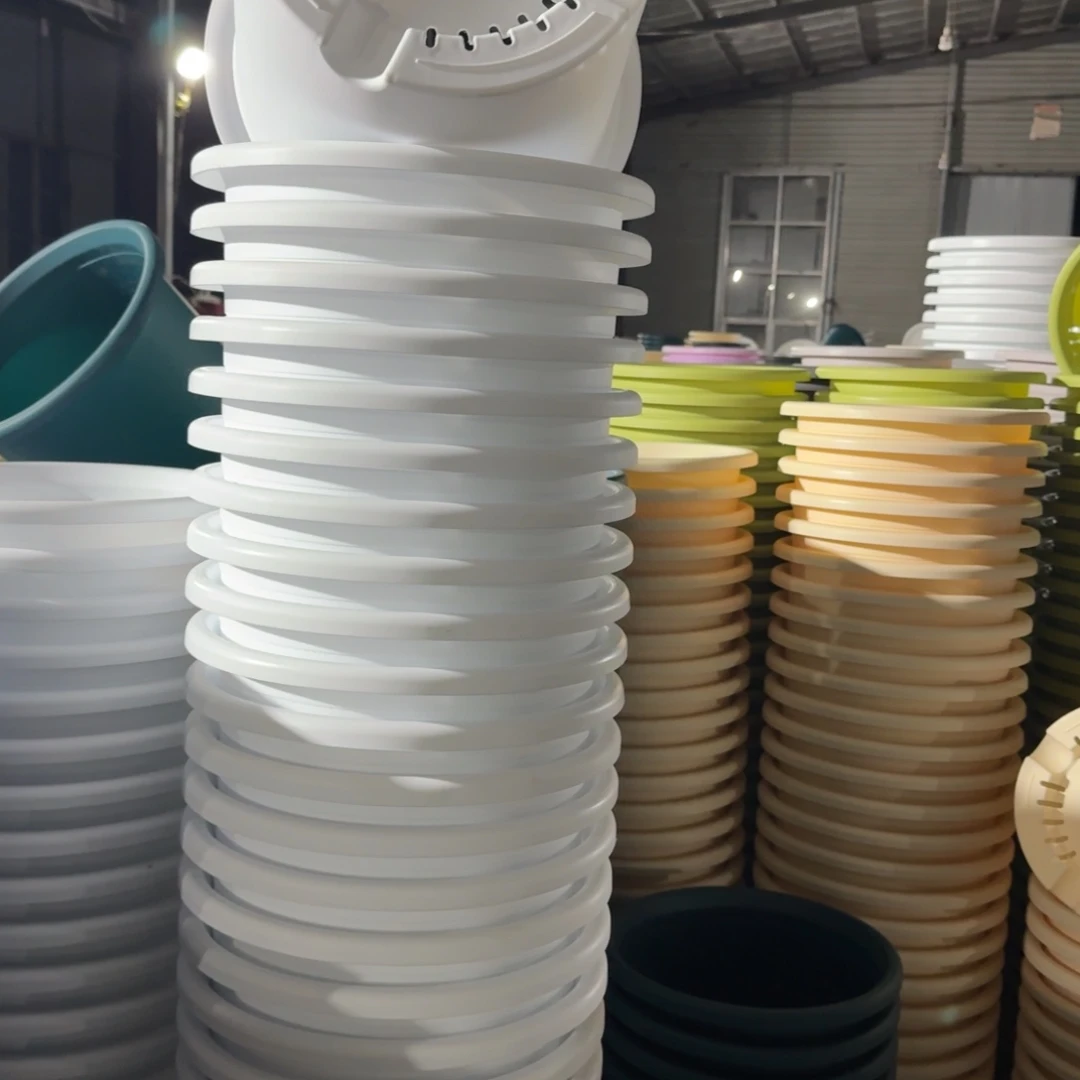 四季6号5个白色的