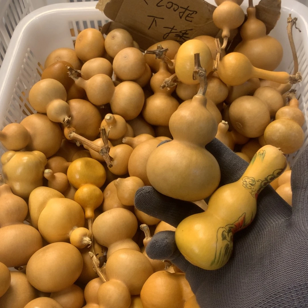 手***彭啊啊啊啊啊啊啊啊啊