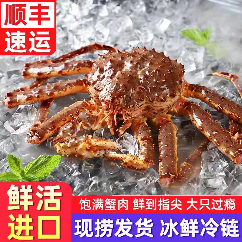 俄罗斯进口帝王蟹 口岸直发 珲春帝王蟹 顺丰快递 珲春海鲜直播间