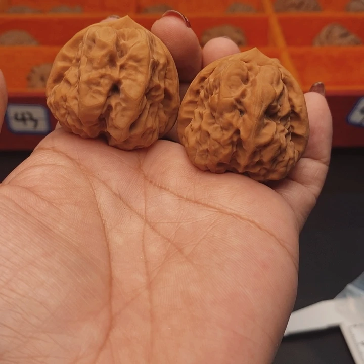 核桃蛤蟆40尺核桃