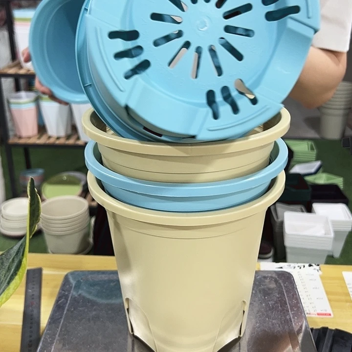 圆控根口21高21混色带托5个