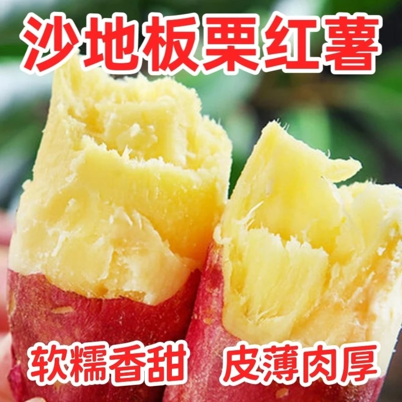 【买3斤送2斤整箱5斤】新鲜现挖沙地板栗红薯粉糯香甜正宗红薯包邮