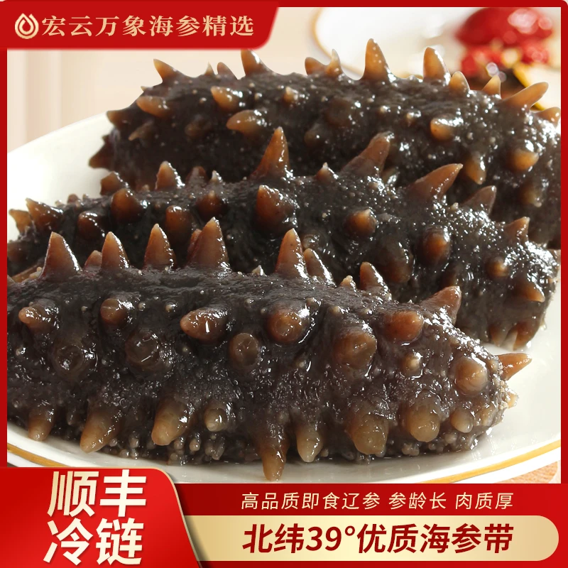 【高品辽参】即食海参1斤装9A冷冻发运（次日达)