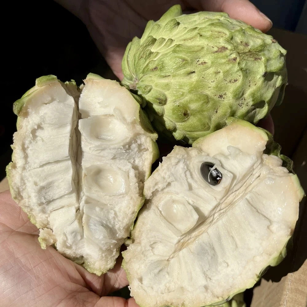 【巨无霸4-5个微花果】云南牛奶凤梨释迦果软糯香甜放软再吃