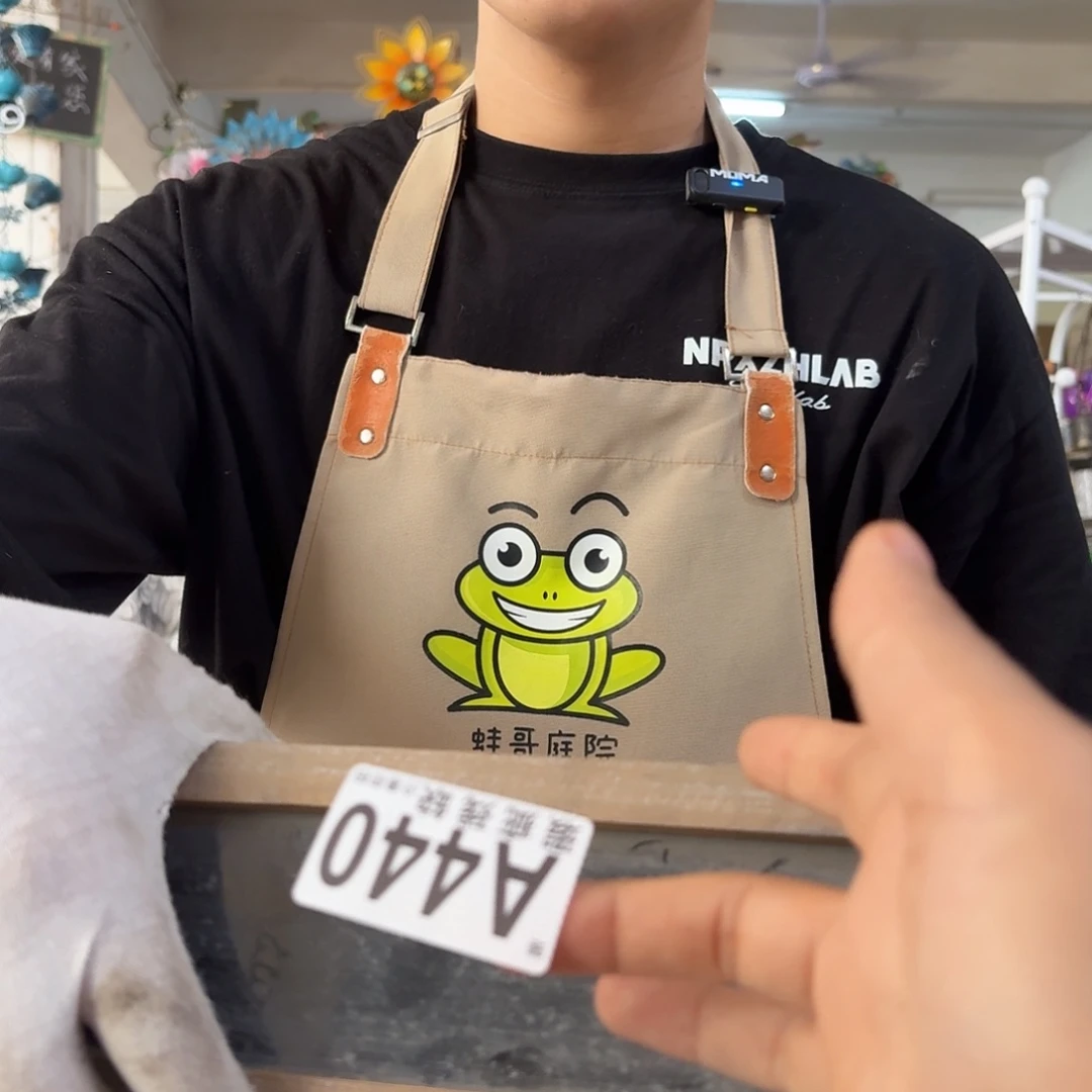 核桃木/黑胡桃（胡桃木）