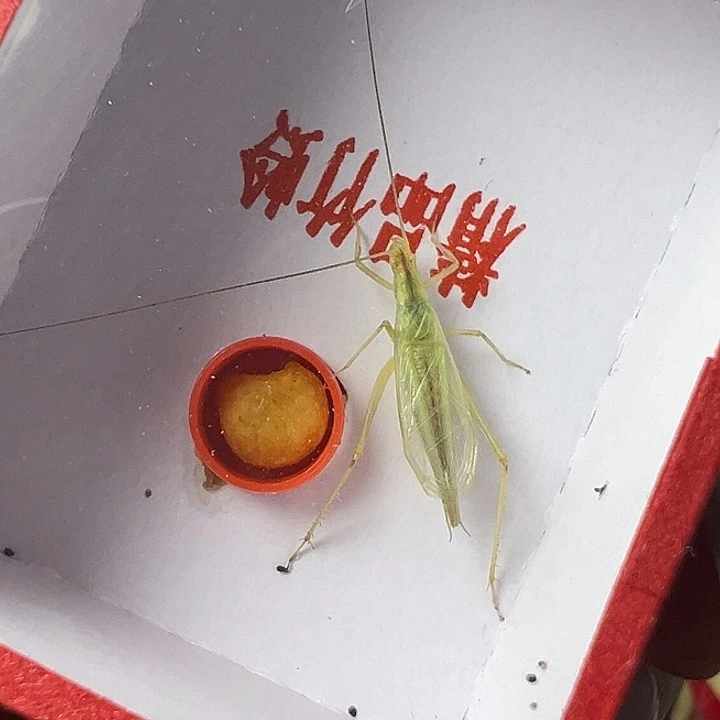 八***舅哈哈哈哈哈哈哈哈哈