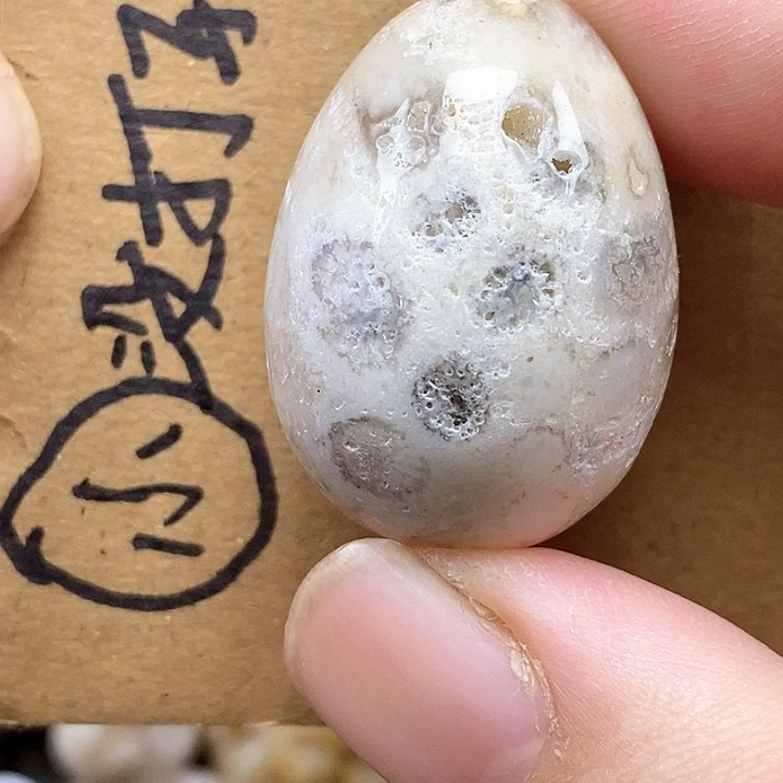 颈饰未镶嵌硅化珊瑚（珊瑚玉）有瑕
