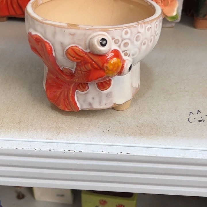 粗陶材质多肉花盆