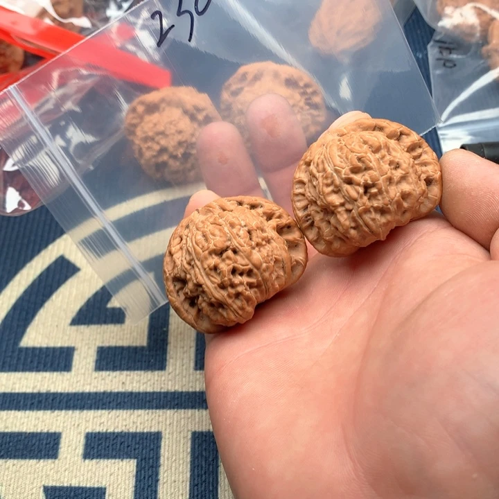 文玩核桃吊坠45白狮子230