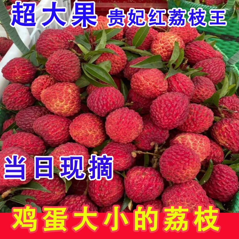 广西荔枝王【中通冷链】广西稀有品种荔枝水石村特产