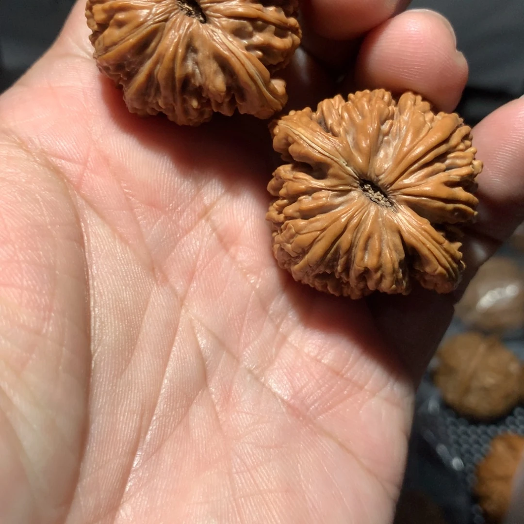 文玩核桃把件四座楼开播福利