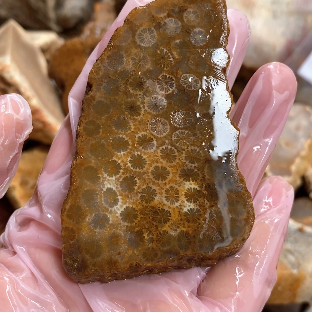 【闪购商品】硅化玉颈饰未镶嵌