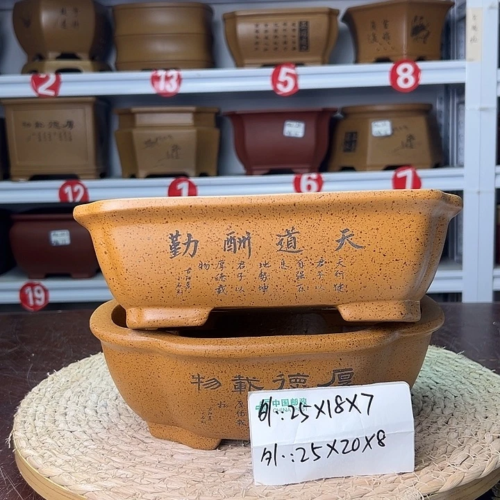 紫砂花盆蛇年大吉