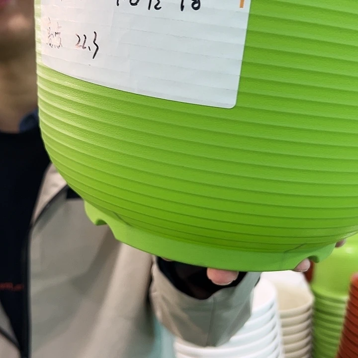 正品矮陶口30高21果绿无托5个