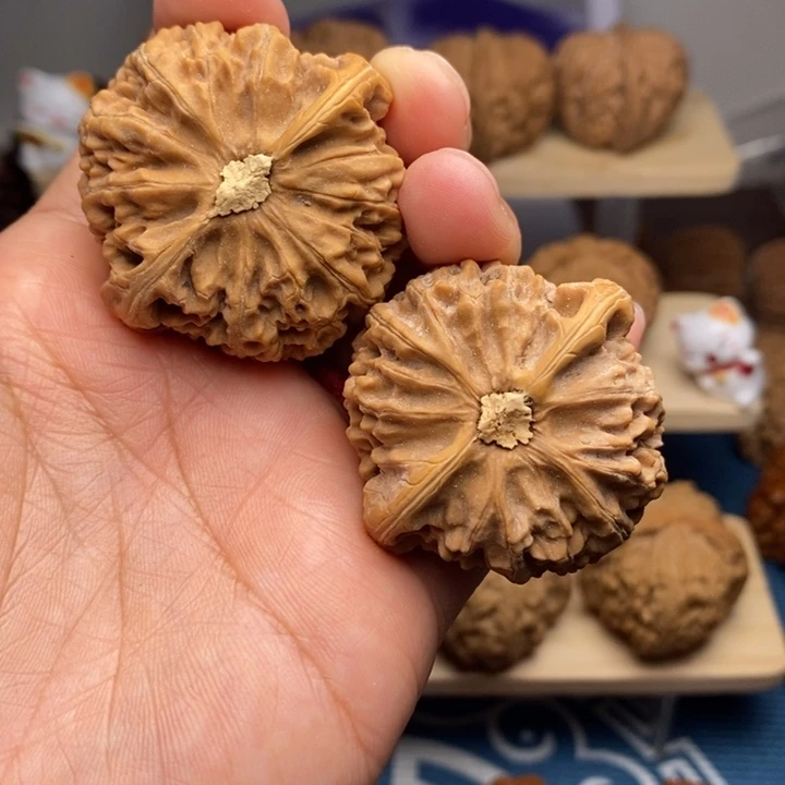 把件文玩核桃41尺宫灯狮子头