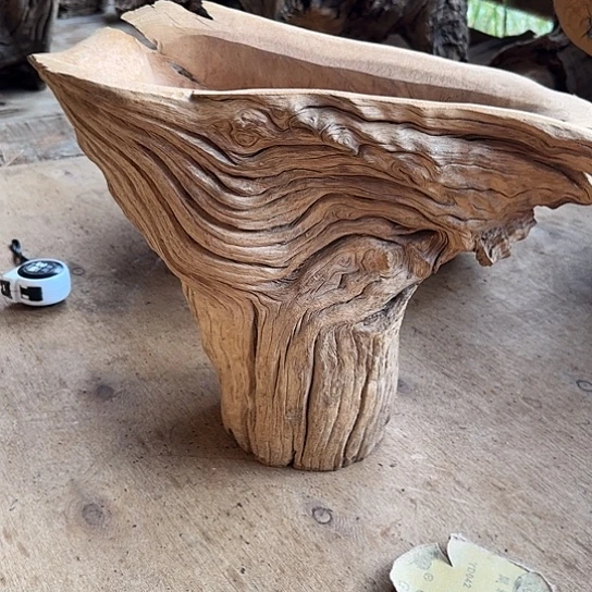 畅**悦紫砂噜啦啦啦啦啦啦