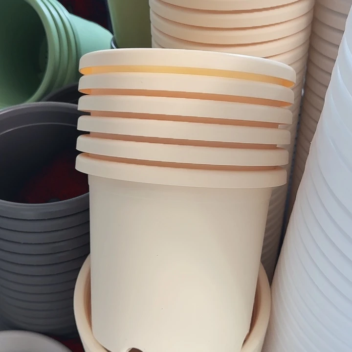 微瑕5#米黄6个无托