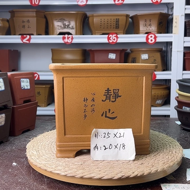 紫砂花盆蛇年大吉