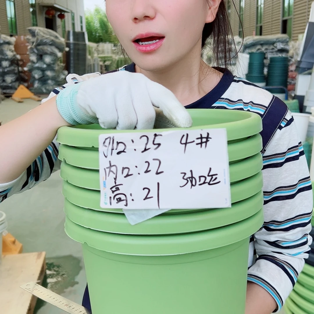 瑕疵四季盆4#果绿6个无托