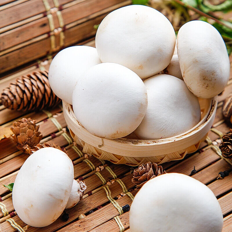新鲜口蘑白蘑双胞菇基地直发一箱