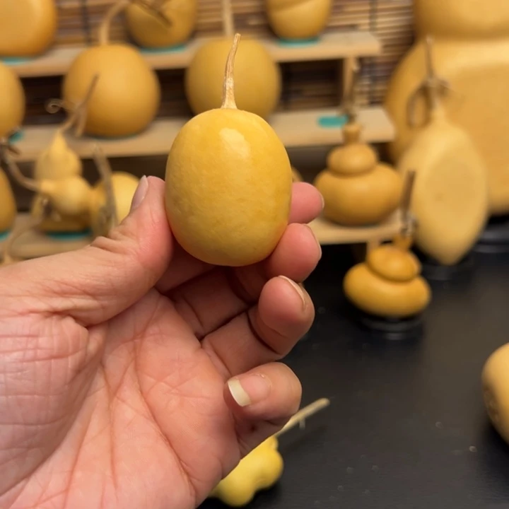 l****?555566663666669