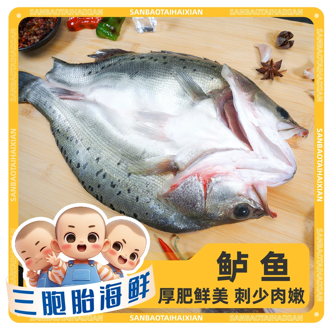 【顺丰发货】②当季上新活鱼现杀 开背鲈鱼 净重300-400g左右/条*4条
