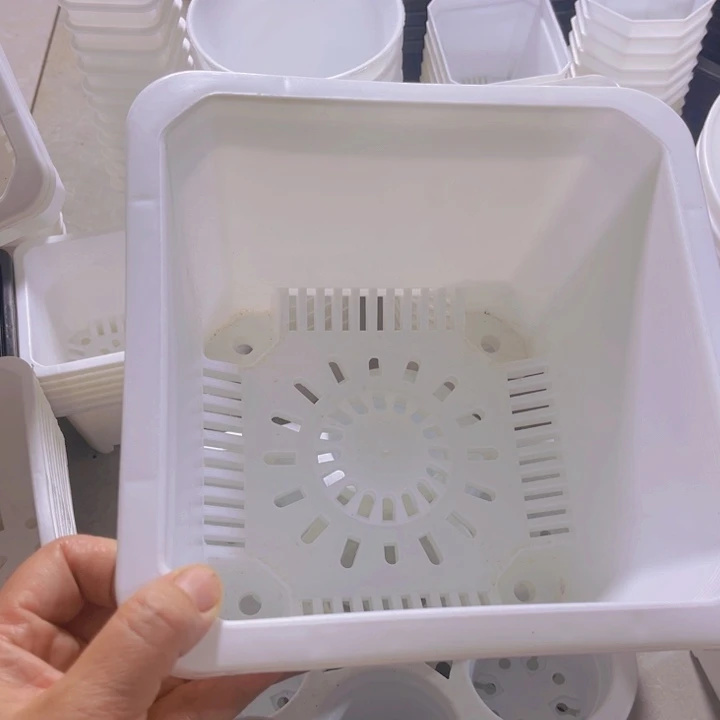 白方口21高15 一组5