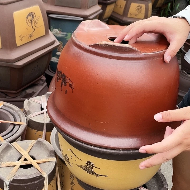 30紫气东来+003花盆花盆花盆