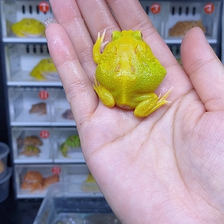 特价秒杀现货特价