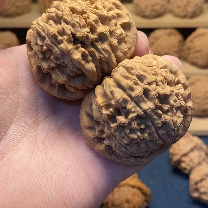 核桃51全品龙鼎福利核桃