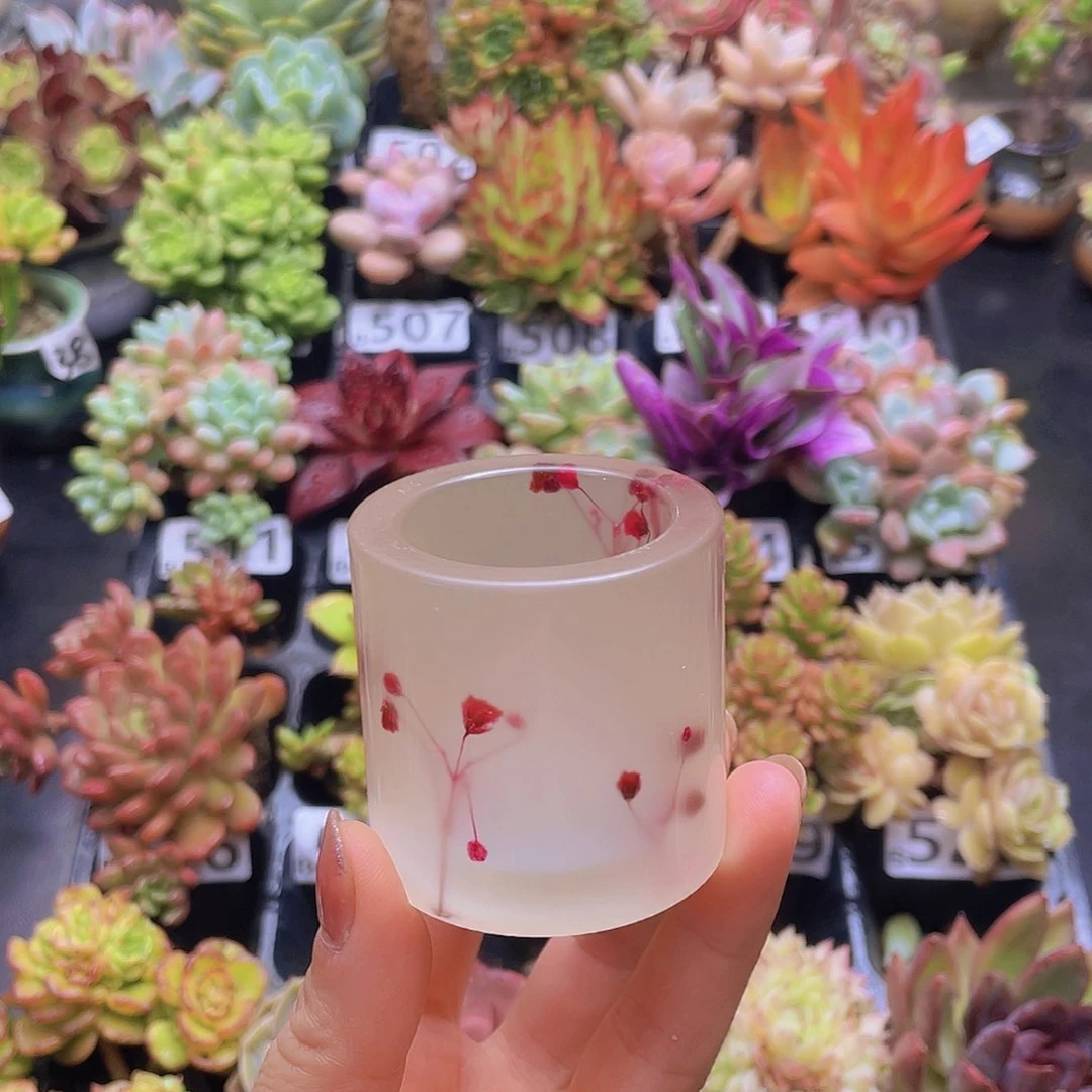 花钱花钱花钱花钱花钱