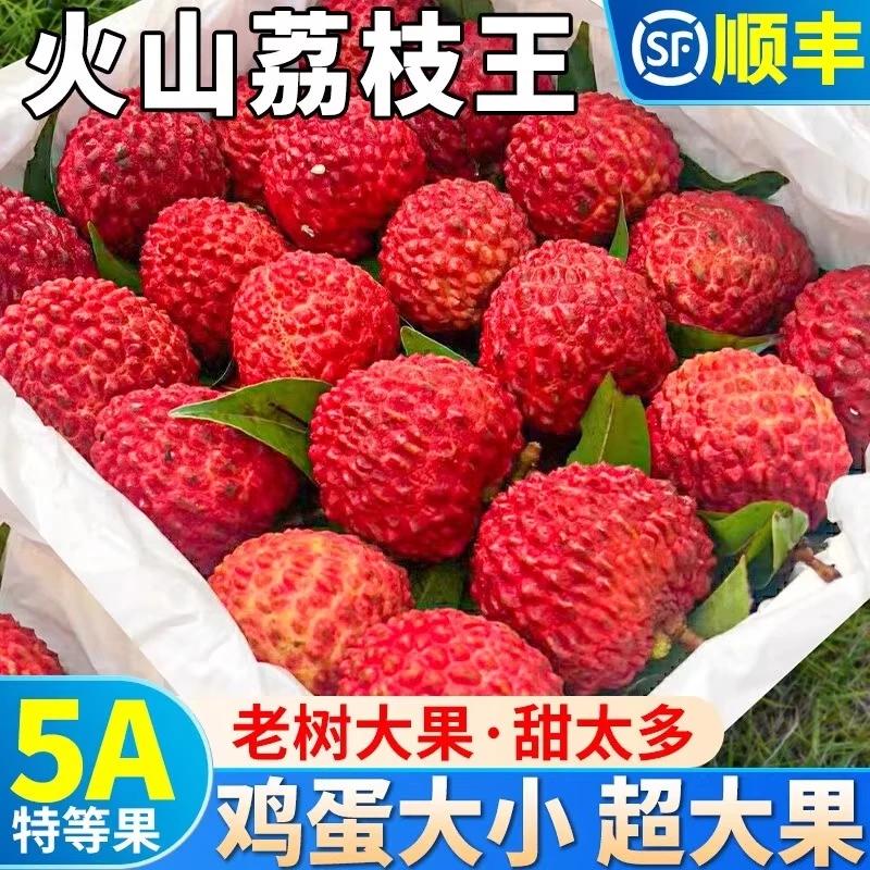 现货顺丰空运海南火山荔枝王现摘巨无霸特大水果新鲜3-5斤礼盒装