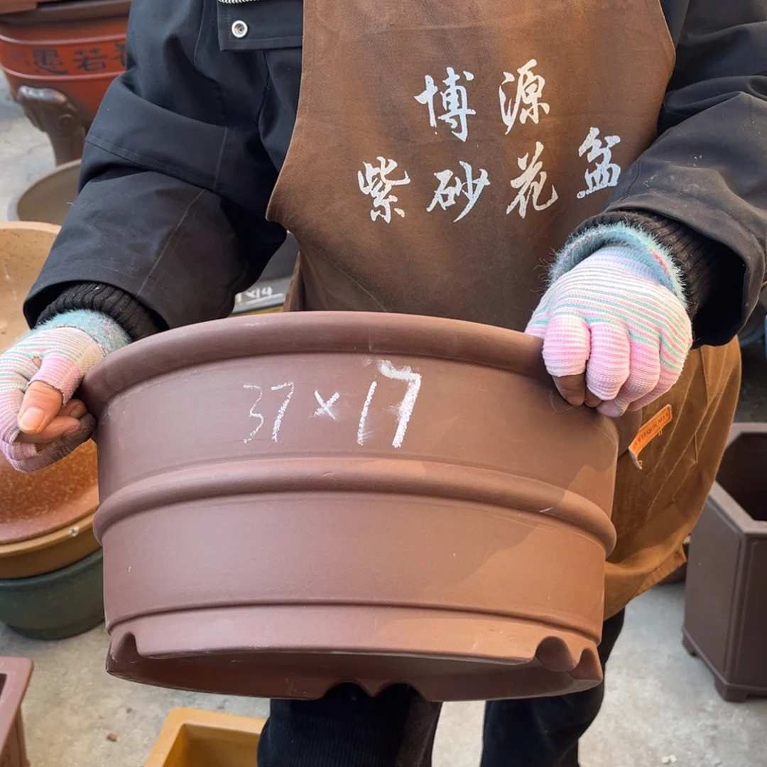 花盆紫砂盆景艺术