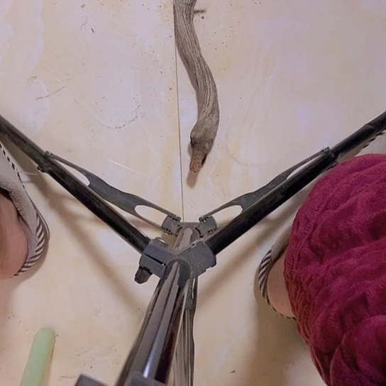 柏木喝****9陈化到位坨坨疙瘩