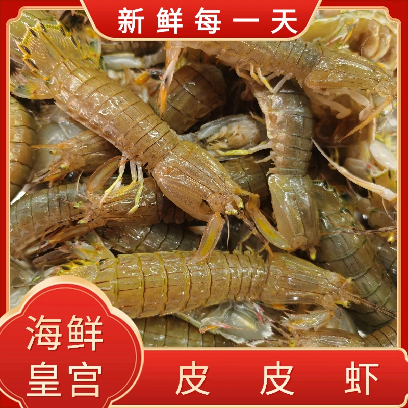 【海鲜皇宫】皮皮虾 保鲜不保活 3-5斤