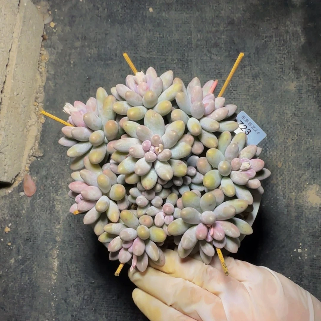 z z z z z z z z z 23