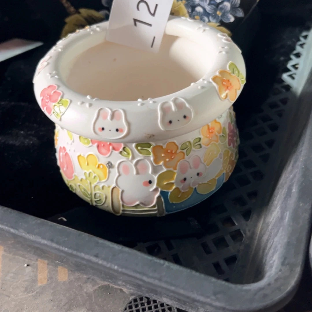 不*丢121多肉花盆1个