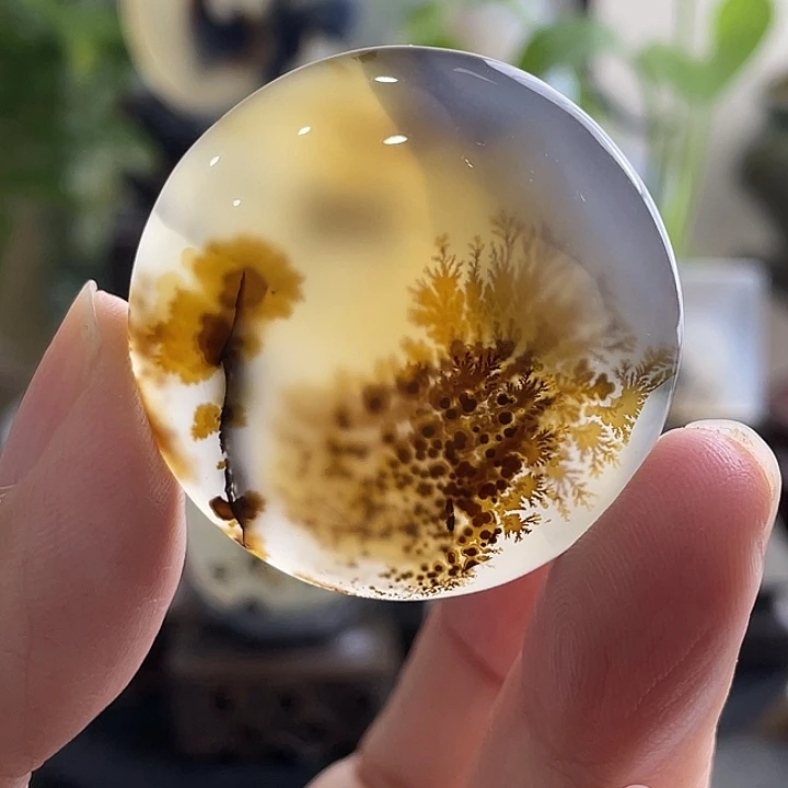 玛瑙/玉髓未镶嵌珠宝半成品