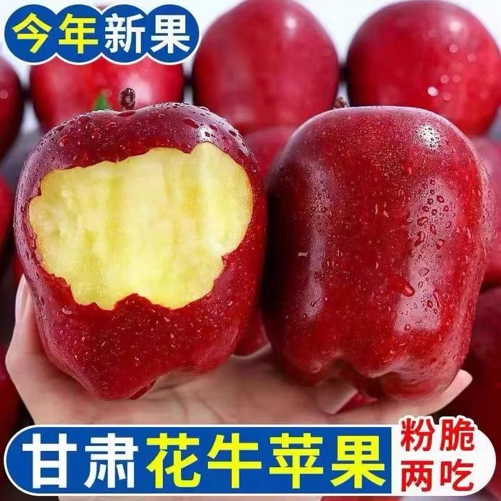 正宗甘肃天水花牛苹果蛇红果新鲜脆粉两吃宝宝辅食粉面香甜味足J