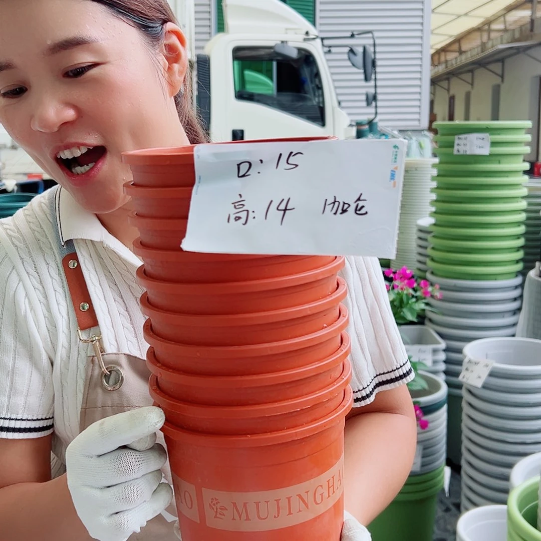 瑕疵1加仑红色12个无托